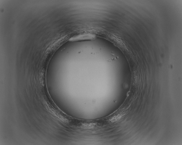 X0000062620450200601111038