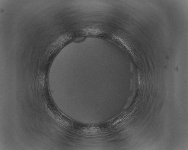 X0000062620451200601111038