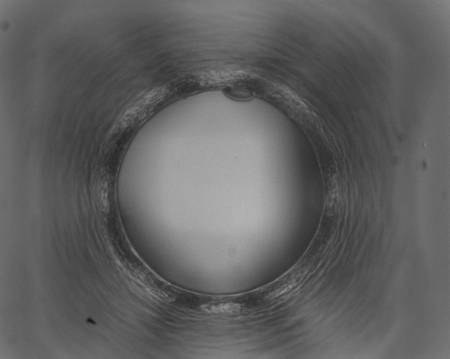 X0000062620452200601111038