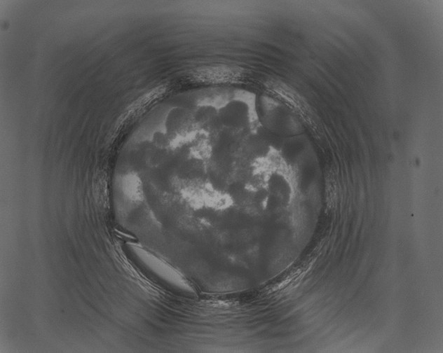 X0000062620453200601111038