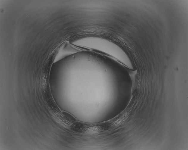 X0000062620456200601111038