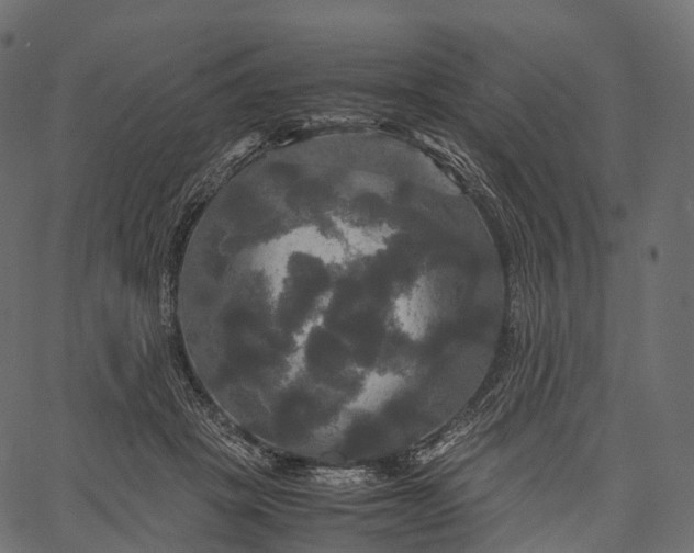 X0000062620457200601111038