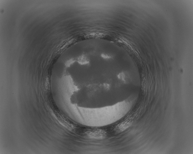 X0000062620459200601111038