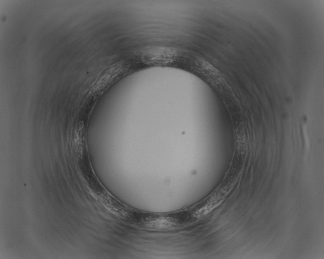 X0000062620460200601111038