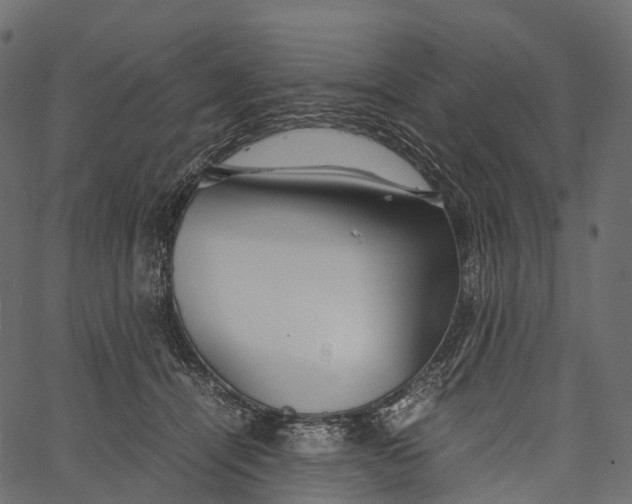 X0000062620464200601111039