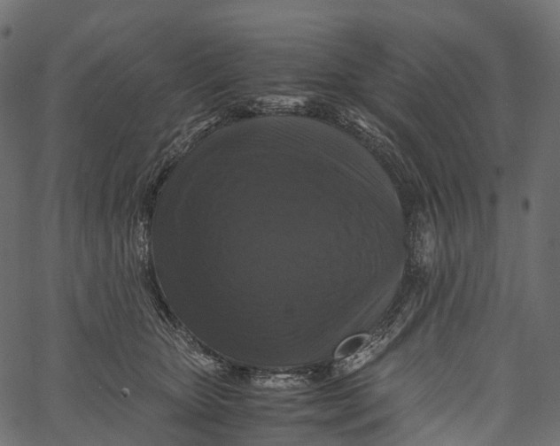 X0000062620467200601111039