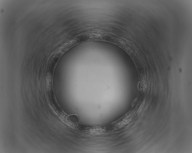 X0000062620468200601111039