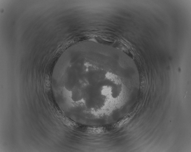 X0000062620469200601111039