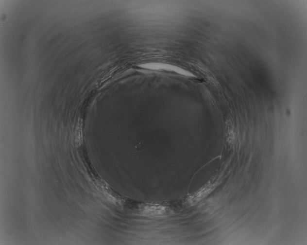 X0000062620471200601111039