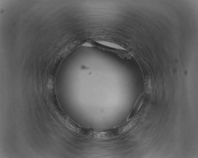 X0000062620472200601111039