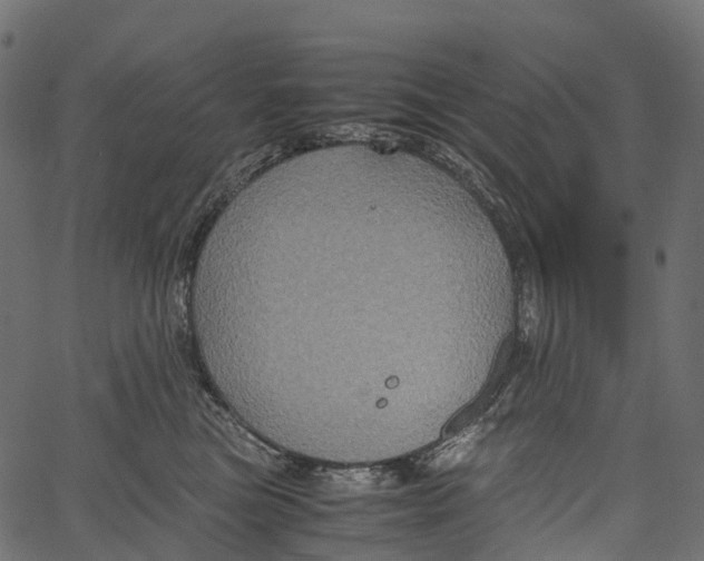 X0000062620473200601111039