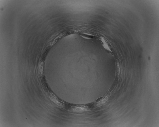 X0000062620475200601111039