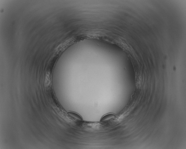 X0000062620478200601111039