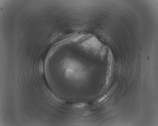 X0000062620479200601111039