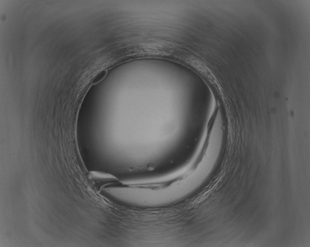 X0000062620481200601111038