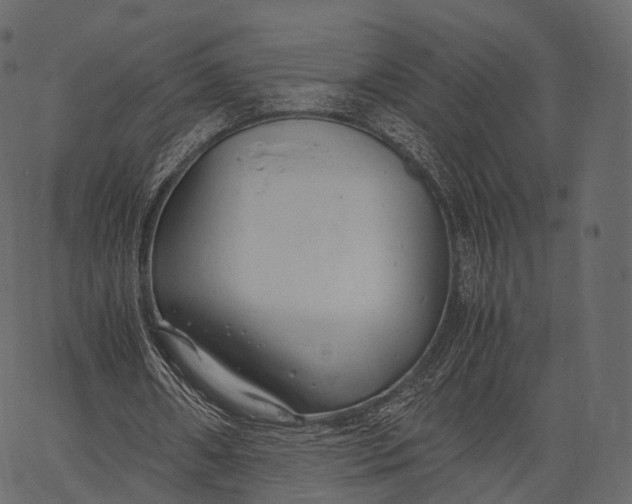 X0000062620482200601111038