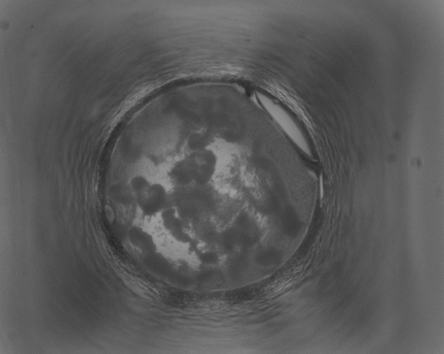 X0000062620483200601111038