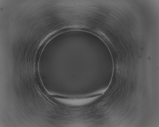 X0000062620484200601111038