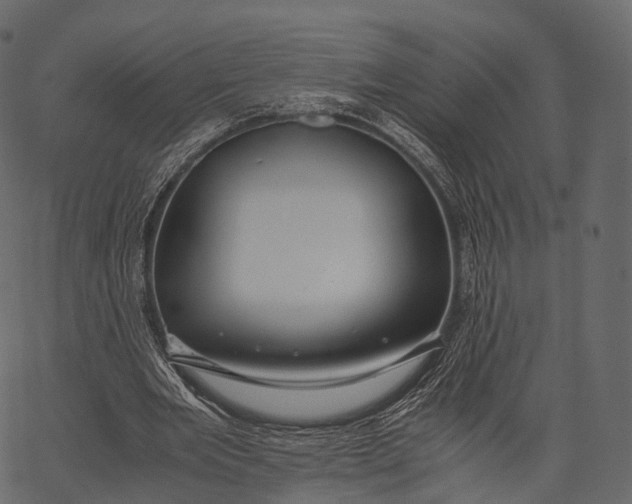 X0000062620485200601111038