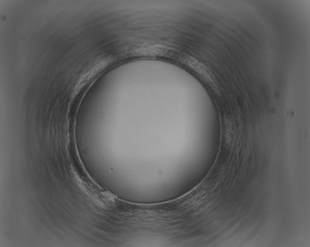 X0000062620486200601111038