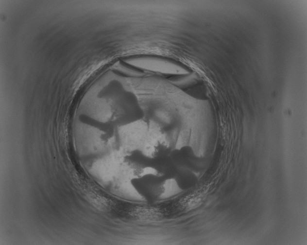 X0000062620487200601111038