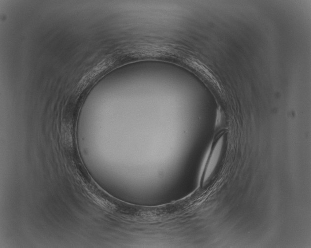 X0000062620489200601111038