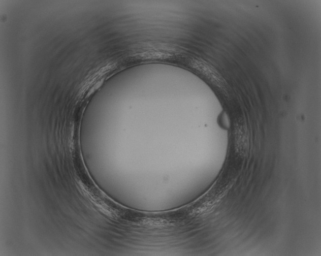 X0000062620490200601111038