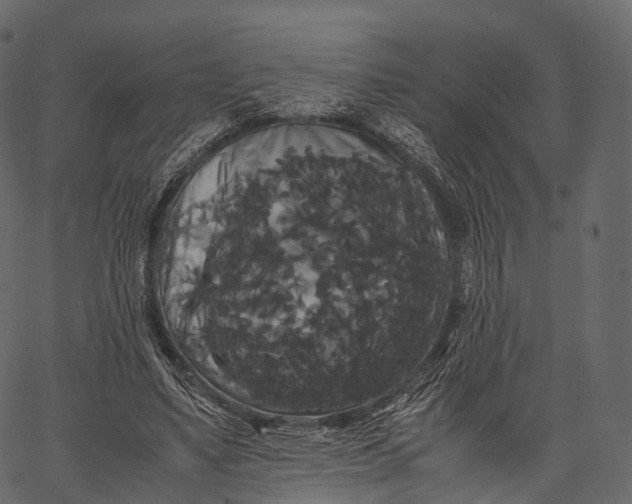 X0000062620491200601111038