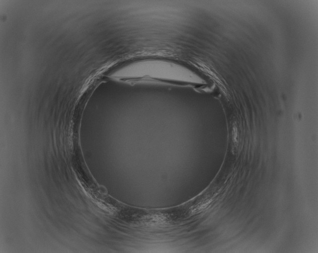 X0000062620492200601111038