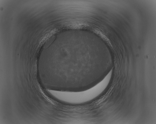 X0000062620493200601111038