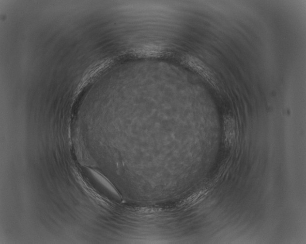 X0000062620494200601111038