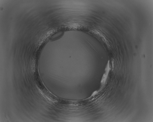 X0000062620496200601111038