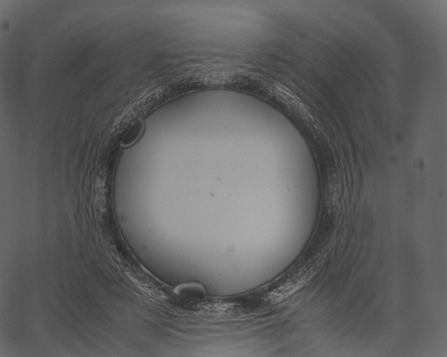 X0000062620497200601111038