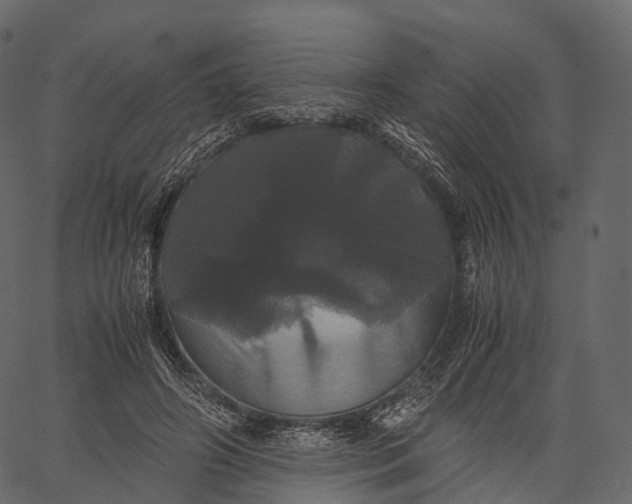 X0000062620498200601111038