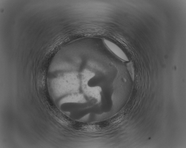 X0000062620499200601111038