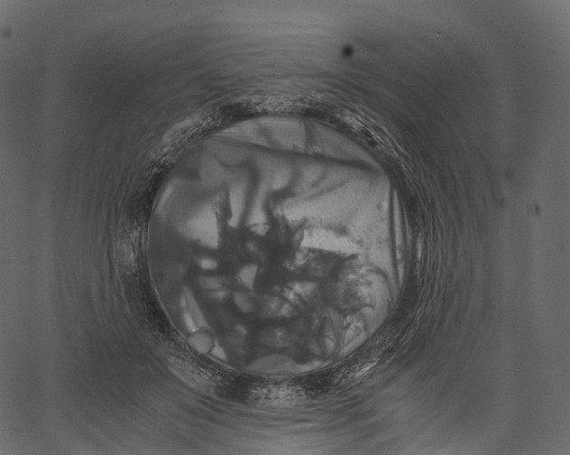 X0000062620503200601111038