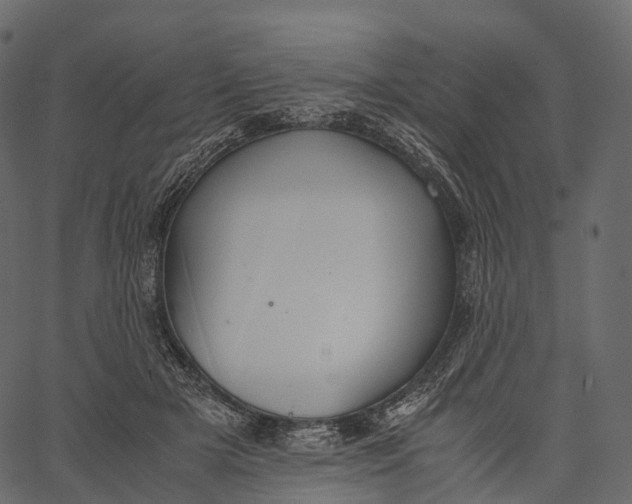 X0000062620505200601111038