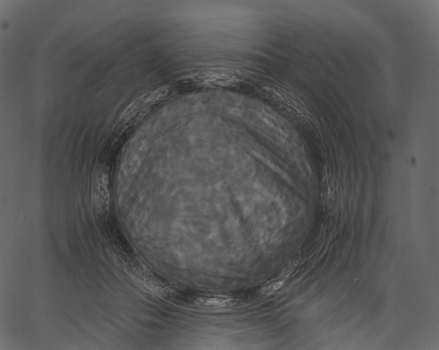 X0000062620506200601111038