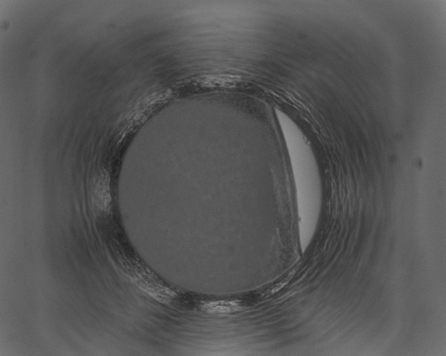 X0000062620508200601111038