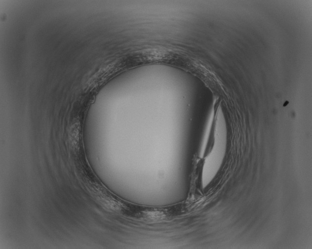 X0000062620509200601111038