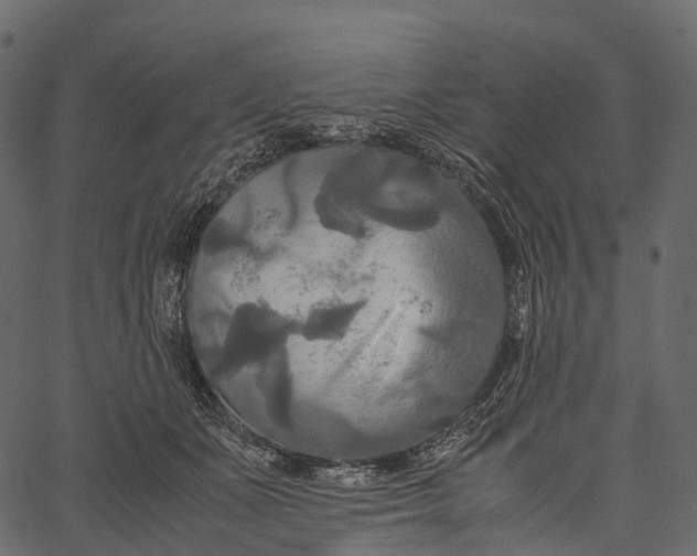 X0000062620511200601111038