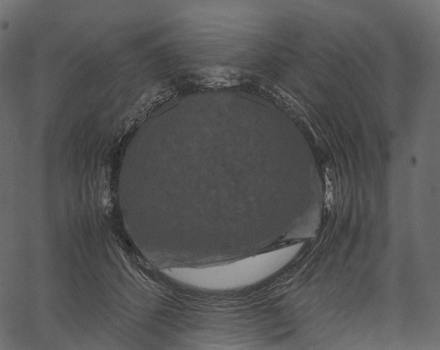 X0000062620512200601111038