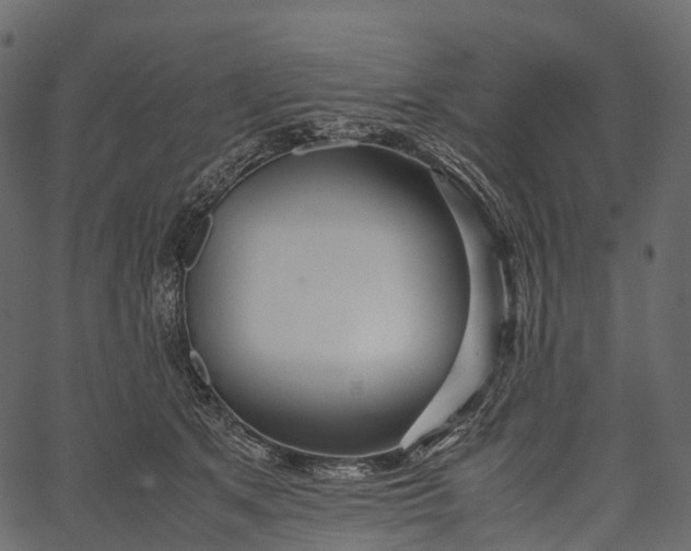 X0000062620513200601111037