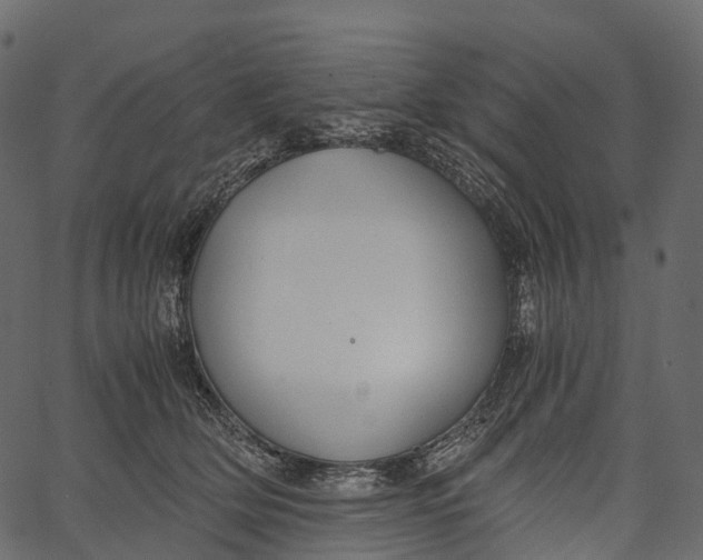 X0000062620514200601111037