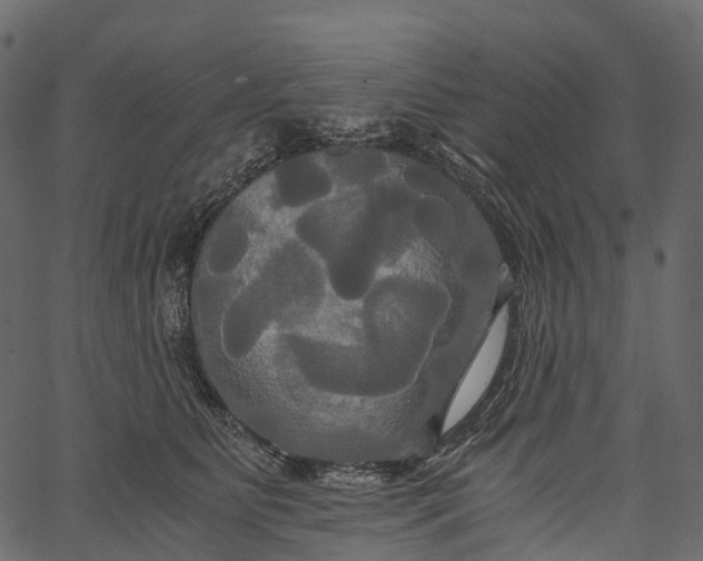 X0000062620515200601111037