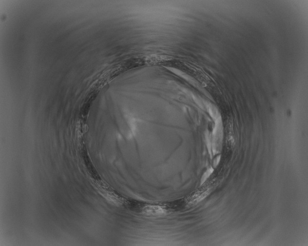 X0000062620519200601111037