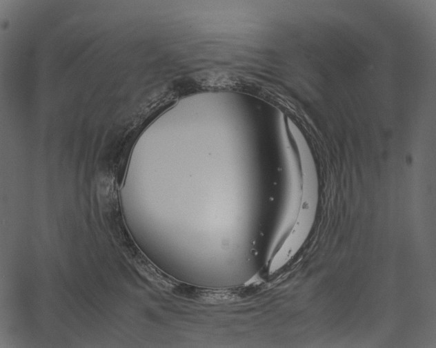 X0000062620521200601111037