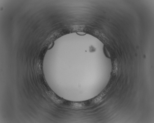 X0000062620522200601111037