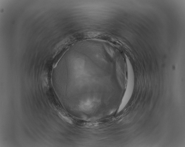 X0000062620524200601111037