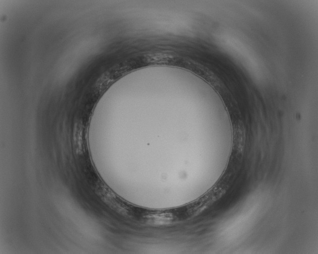 X0000062620525200601111037